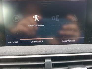 Peugeot 3008 bluehdi 130ch ss eat8 gt line occasion simplicicar velay simplicicar simplicibike france