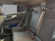 RENAULT d'occasion RAFALE 1.2 200CH de 2024 Vauvert (30)﻿