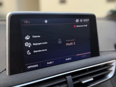 Peugeot 3008 1.6 bluehdi 120ch ss eat6 gt line - très bien optionnée - entretien complet - toit ouvrant - caméra de......