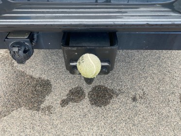 Ford ranger double cabine 2.0 ecoblue 170 bv10 xlt - pas de tva , attelage, radar de recul - garantie 12 mois occasion...