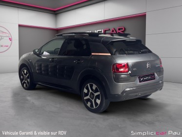 Citroen c4 cactus bluehdi 100 shine occasion simplicicar pau simplicicar simplicibike france