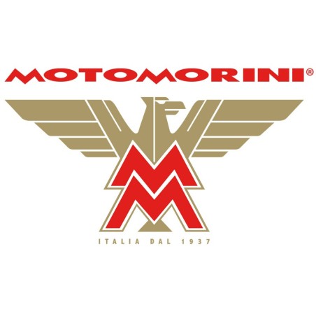 Morini